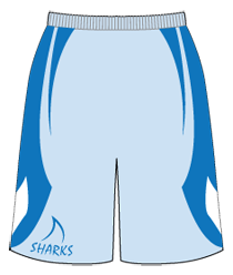 BS1